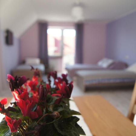 Villa Terra Pruszcz Gdański Εξωτερικό φωτογραφία