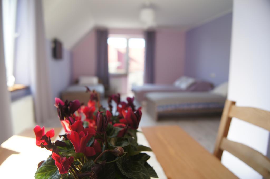 Villa Terra Pruszcz Gdański Εξωτερικό φωτογραφία